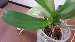     
: 20170621_100230.jpg
: 21
:	76.2 
ID:	12131285