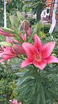     
: 20170617_123948.jpg
: 14
:	100.7 
ID:	12131701