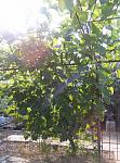     
: CAM02682.jpg
: 14
:	162.0 
ID:	12137912