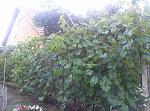    
: CAM02677.jpg
: 11
:	188.4 
ID:	12137929