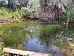     
: 2017-06-27 12.38.10.jpg
: 10
:	302.6 
ID:	12140920