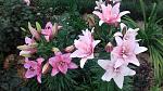     
: 20170626_201346.jpg
: 11
:	145.3 
ID:	12140932