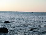     
: DSC04464.jpg
: 44
:	185.0 
ID:	12141658