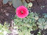     
: DSCN4079.jpg
: 14
:	155.0 
ID:	12142108