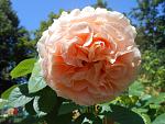     
: DSCN4096.jpg
: 12
:	104.4 
ID:	12142110