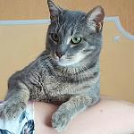     
: IMG_20170608_195355_401.jpg
: 11
:	118.3 
ID:	12143492
