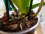     
: DSC00826.jpg
: 28
:	117.5 
ID:	12144110