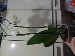     
: DSC00829.jpg
: 32
:	72.4 
ID:	12144112