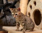     
: DSC_6045.jpg
: 13
:	109.3 
ID:	12144686