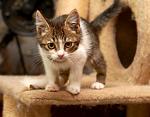     
: DSC_6069.jpg
: 12
:	101.8 
ID:	12144688