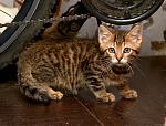     
: DSC_6075.jpg
: 15
:	152.7 
ID:	12144696