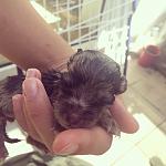     
: IMG_0848.jpg
: 7
:	76.6 
ID:	12145320