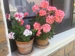     
: IMG_8460.jpg
: 7
:	126.1 
ID:	12145429