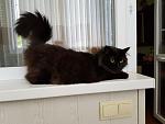     
: 20170701_155704.jpg
: 42
:	100.5 
ID:	12145797