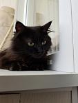     
: 20170701_155754.jpg
: 40
:	48.6 
ID:	12145799