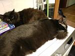     
: 20170626_032652.jpg
: 42
:	114.0 
ID:	12145802