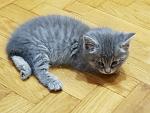     
: 20170701_153123.jpg
: 39
:	113.9 
ID:	12145826