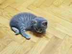     
: 20170701_153048.jpg
: 46
:	163.8 
ID:	12145831