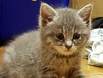     
: 20170701_152858.jpg
: 42
:	119.0 
ID:	12145832