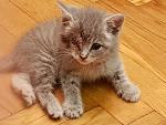     
: 20170630_211343.jpg
: 38
:	117.3 
ID:	12145836