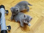    
: 20170701_153029.jpg
: 48
:	138.0 
ID:	12145837