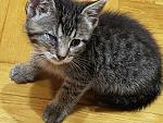     
: 20170701_152804.jpg
: 49
:	147.2 
ID:	12145838