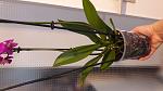     
: 20170701_171944.jpg
: 34
:	82.5 
ID:	12146107