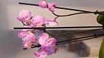     
: 20170701_171902.jpg
: 26
:	82.7 
ID:	12146112