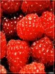     
: malin.jpg
: 16
:	20.1 
ID:	12147821