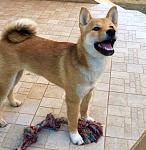    
: IMG_8299.JPG
: 31
:	140.9 
ID:	12148227