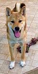     
: IMG_8302.JPG
: 34
:	116.6 
ID:	12148235