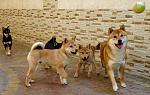     
: IMG_1588.JPG
: 27
:	254.9 
ID:	12148240