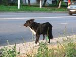     
: IMG_6723.jpg
: 23
:	155.7 
ID:	12148737