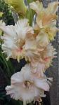     
: 20170702_181625.jpg
: 10
:	56.9 
ID:	12149270