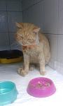     
: 72RPzCSnqM4.jpg
: 14
:	82.5 
ID:	12154337