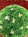     
: IMG_8258.jpg
: 13
:	212.1 
ID:	12160287