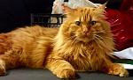     
: FullSizeRender -  .jpg
: 15
:	25.3 
ID:	12160296