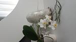     
: 20170707_111258.jpg
: 9
:	44.8 
ID:	12161576