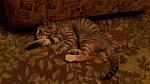     
: 20170710_215221.jpg
: 17
:	105.0 
ID:	12162379