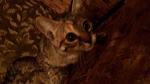     
: 20170710_214919.jpg
: 13
:	76.4 
ID:	12162386