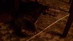     
: 20170711_211254.jpg
: 9
:	62.5 
ID:	12164181
