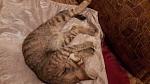     
: 20170711_211237.jpg
: 9
:	113.8 
ID:	12164187