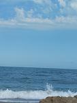     
: IMG_20170712_163436.jpg
: 25
:	53.4 
ID:	12165544