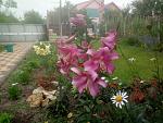     
: P70713-094040.jpg
: 6
:	185.7 
ID:	12166552