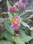     
: 2017708140609.jpg
: 9
:	125.9 
ID:	12171517