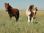     
: DSC02956.jpg
: 39
:	230.9 
ID:	1217201