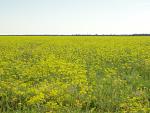     
: DSC02973.jpg
: 31
:	193.8 
ID:	1217202