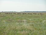     
: DSC03008.jpg
: 32
:	226.5 
ID:	1217208