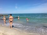     
: IMG_5320.jpg
: 37
:	127.5 
ID:	12173604