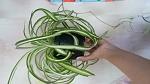     
: 20170717_161553.jpg
: 11
:	90.5 
ID:	12173815